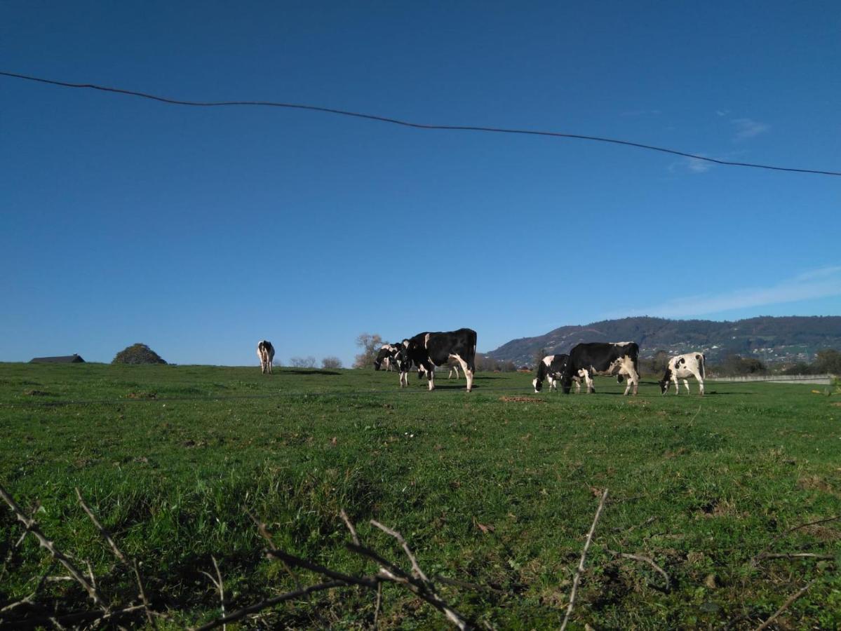 Casa Pepin - Sagasta Rural Oviedo Guest House Екстериор снимка
