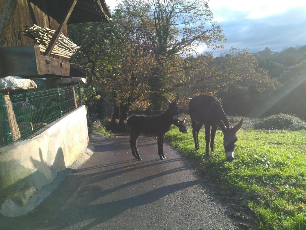Casa Pepin - Sagasta Rural Oviedo Guest House Екстериор снимка