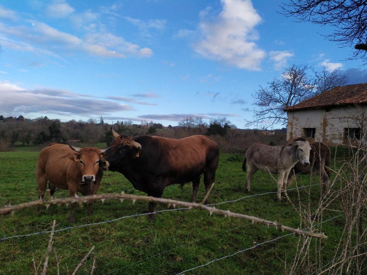 Casa Pepin - Sagasta Rural Oviedo Guest House Екстериор снимка