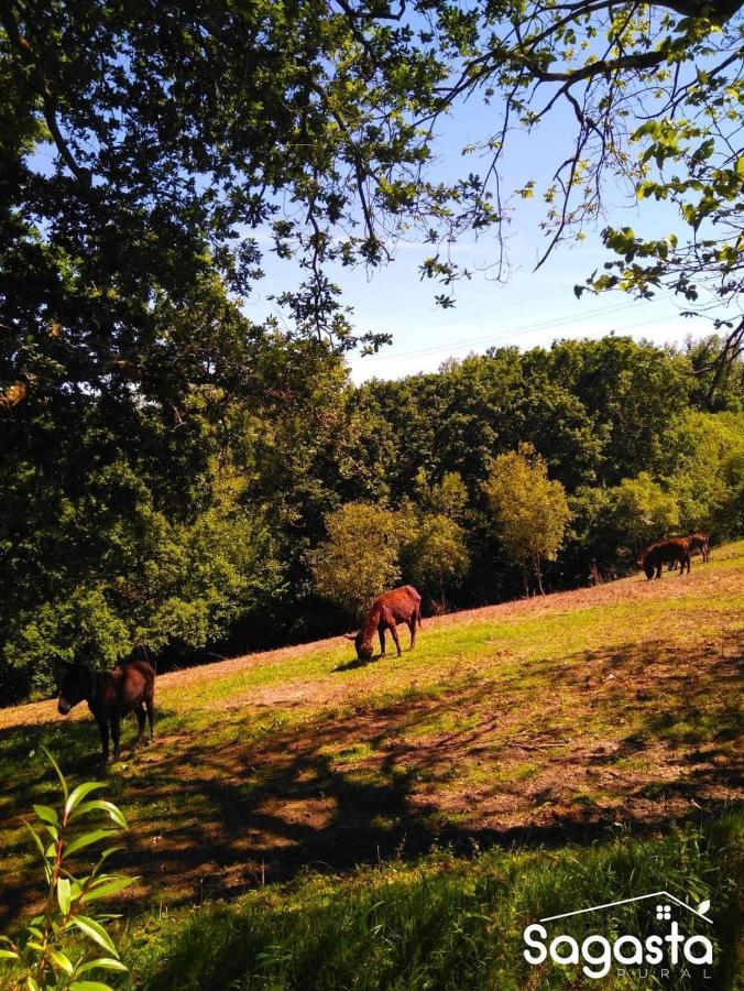 Casa Pepin - Sagasta Rural Oviedo Guest House Екстериор снимка