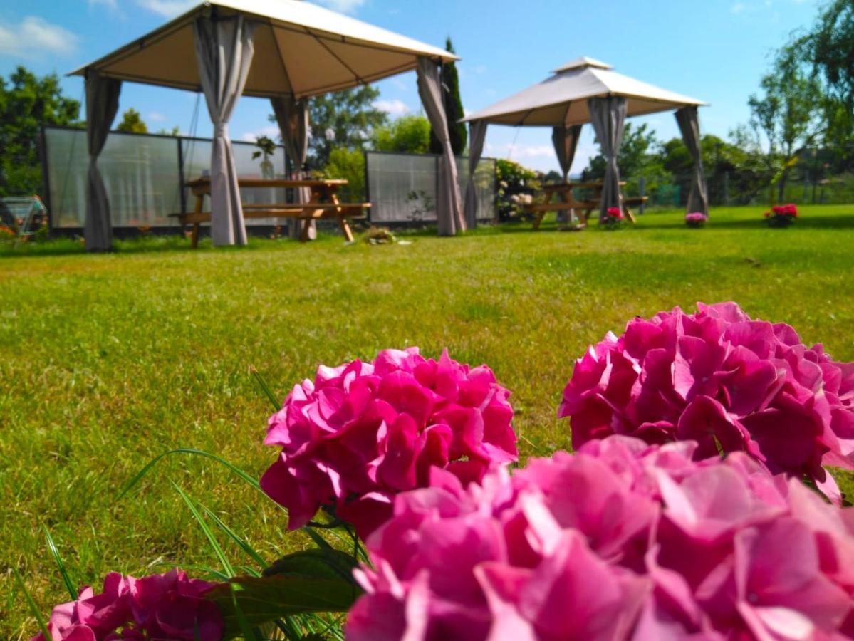 Casa Pepin - Sagasta Rural Oviedo Guest House Екстериор снимка